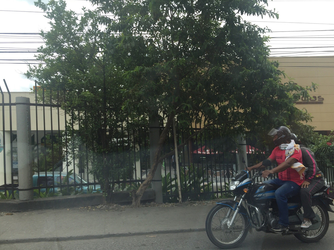 Alamedas Centro Comercial-Monteria必去景点