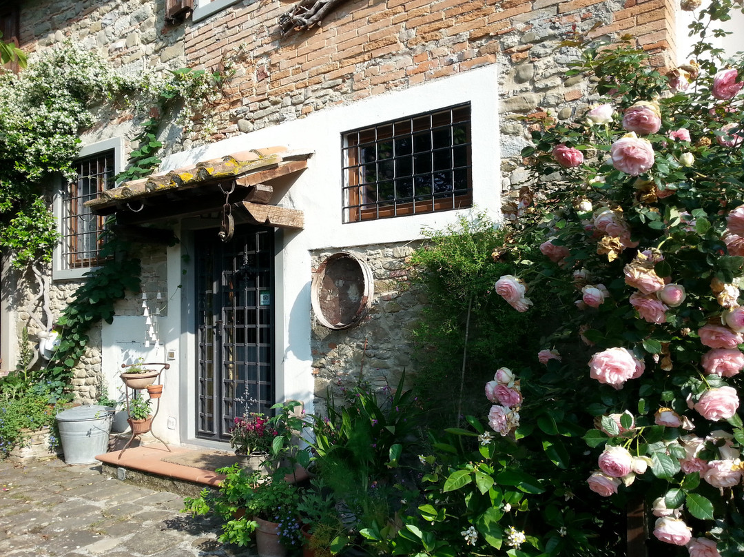 B&B Al Giardino di Rosi主图