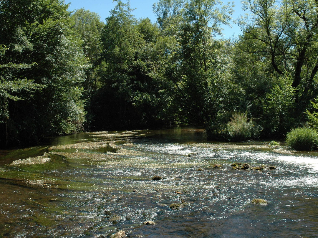 Brantome Canoe景点图片