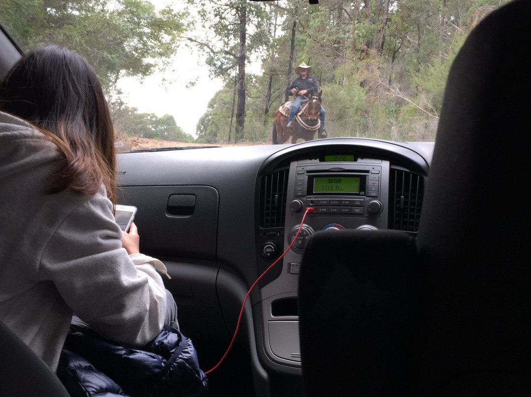 Cowboy Up Trail Rides-彭伯顿必去景点