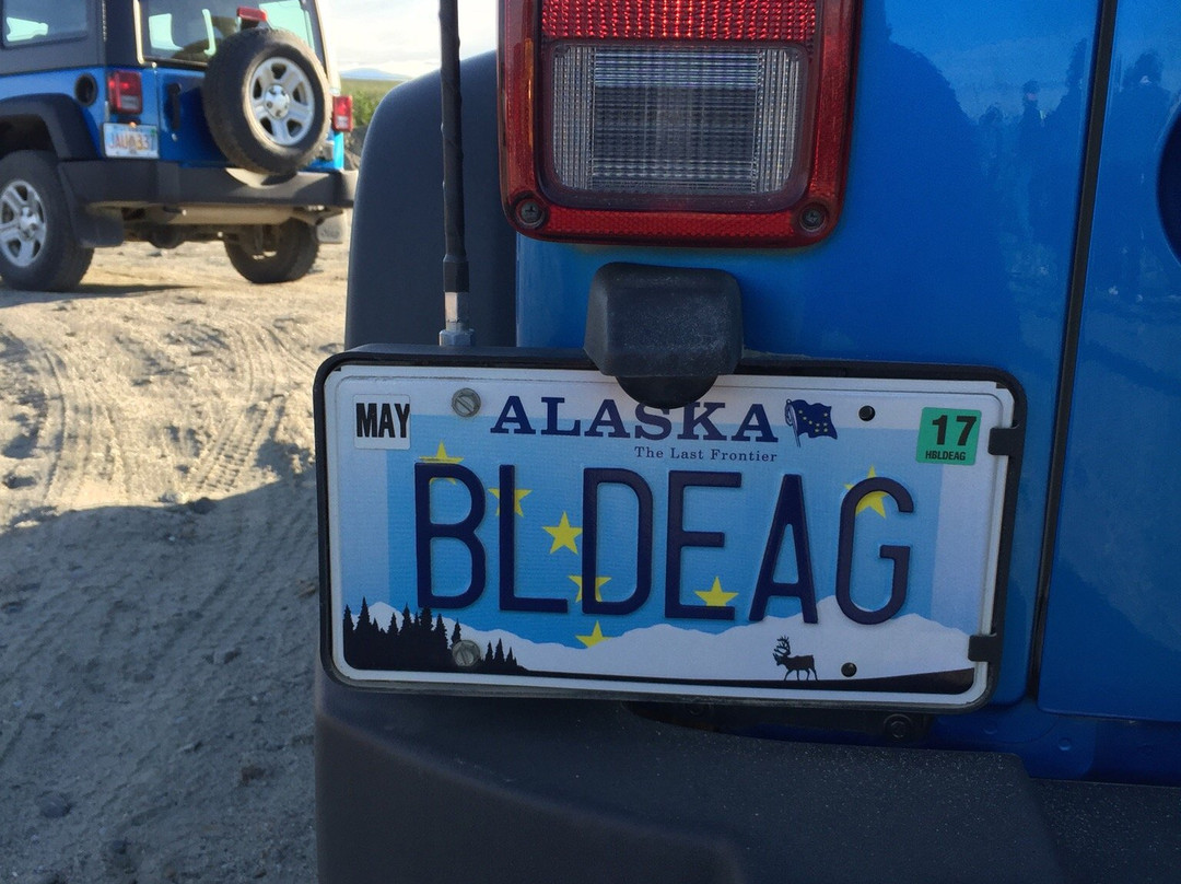 Denali Jeep Excursions景点图片