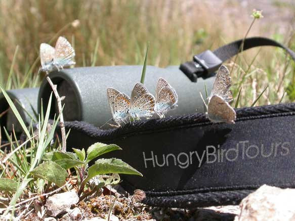 Hungry Bird Tours-Saint-Felix-de-Sorgues必去景点
