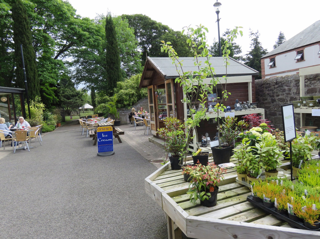 Dundee Botanic Garden