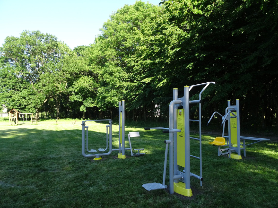 Vysokaje酒店住宿-Hotel Pałac Cieleśnica