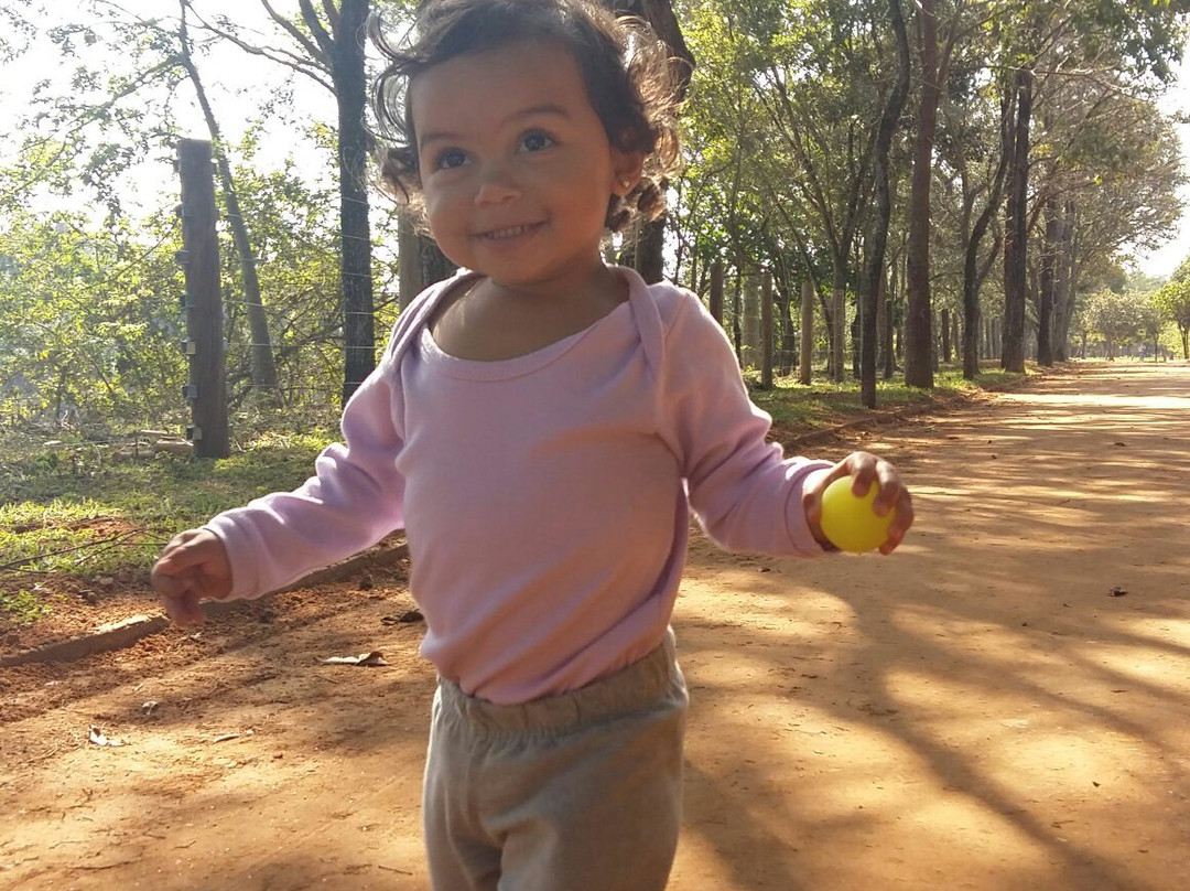 Parque Do Lago-Salto必去景点