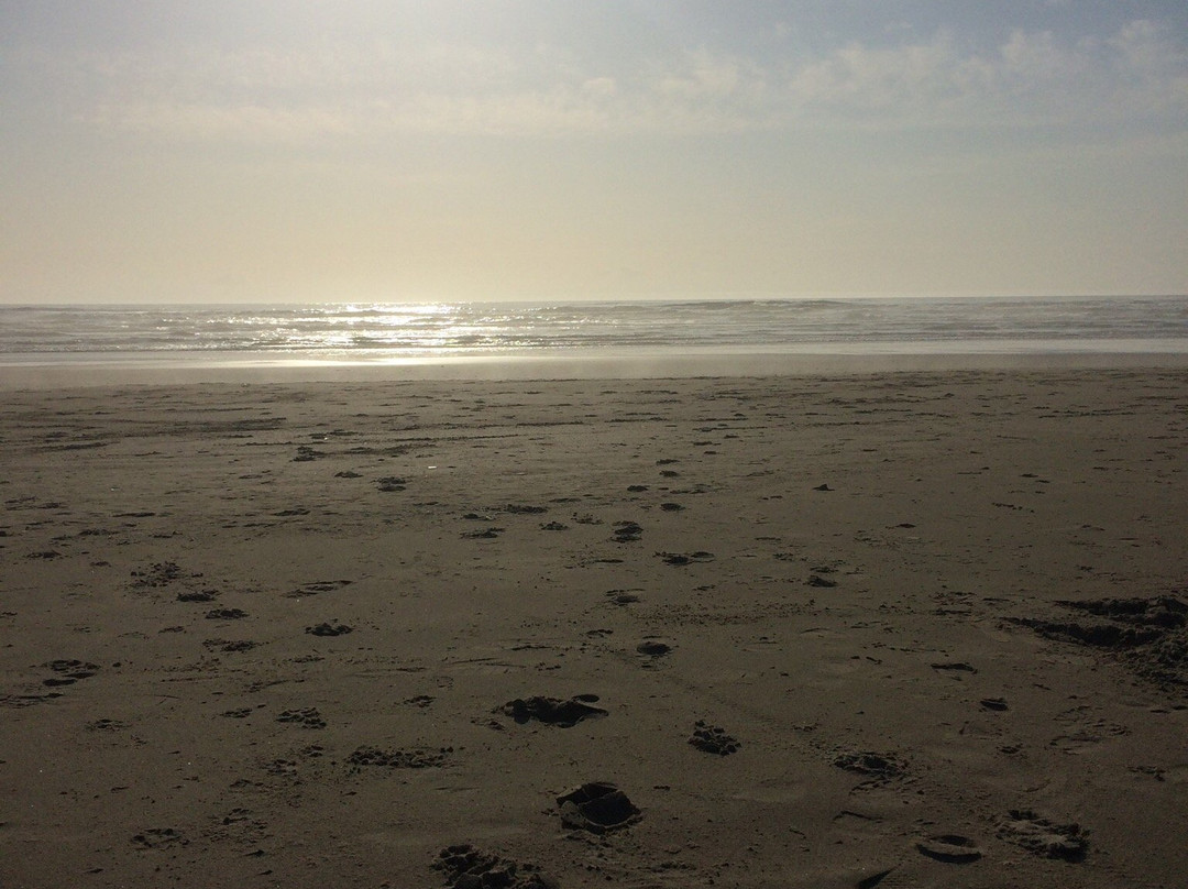 Beachside State Recreation Area-Waldport必去景点