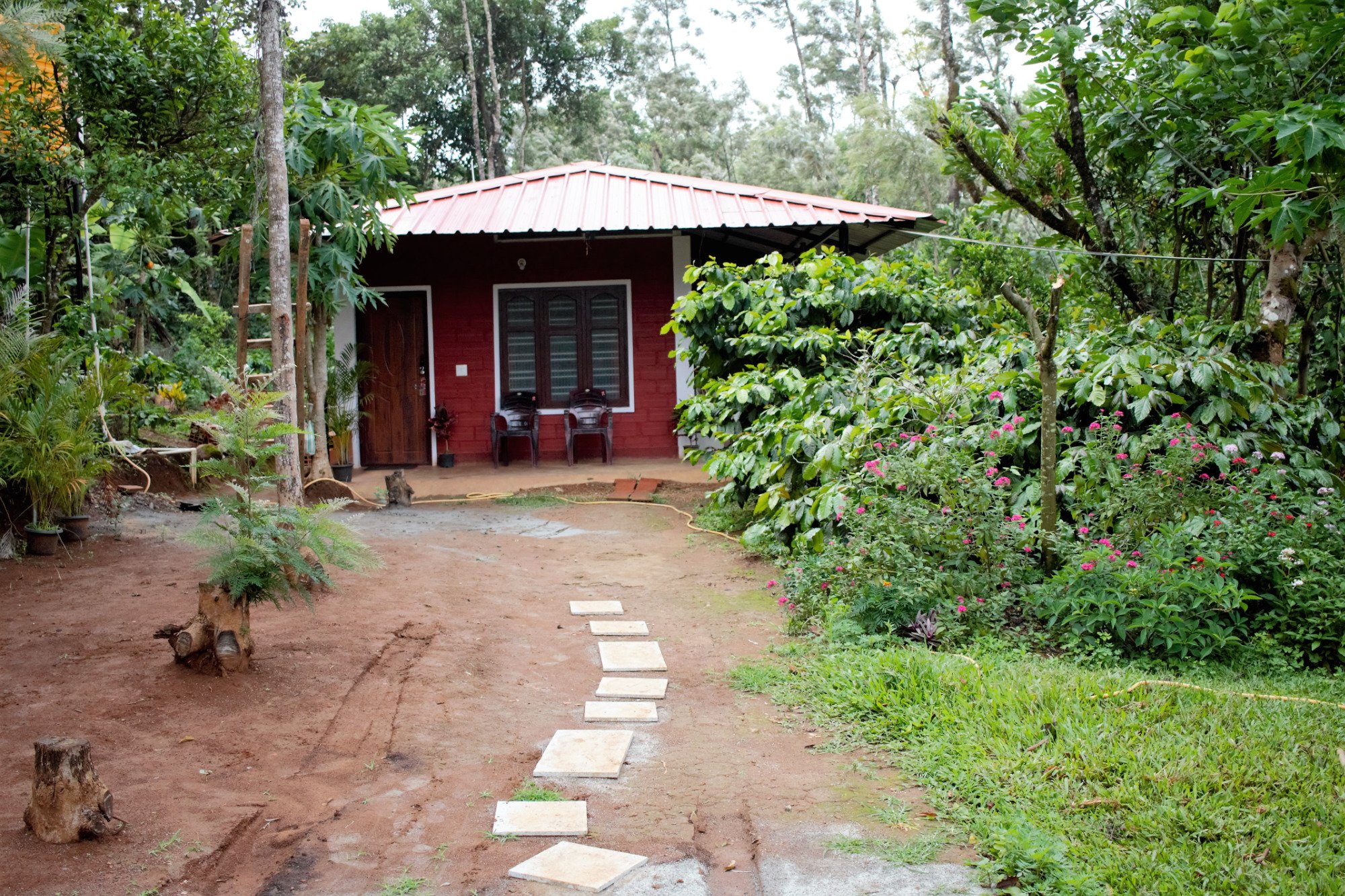 Athena Homestay-浴室