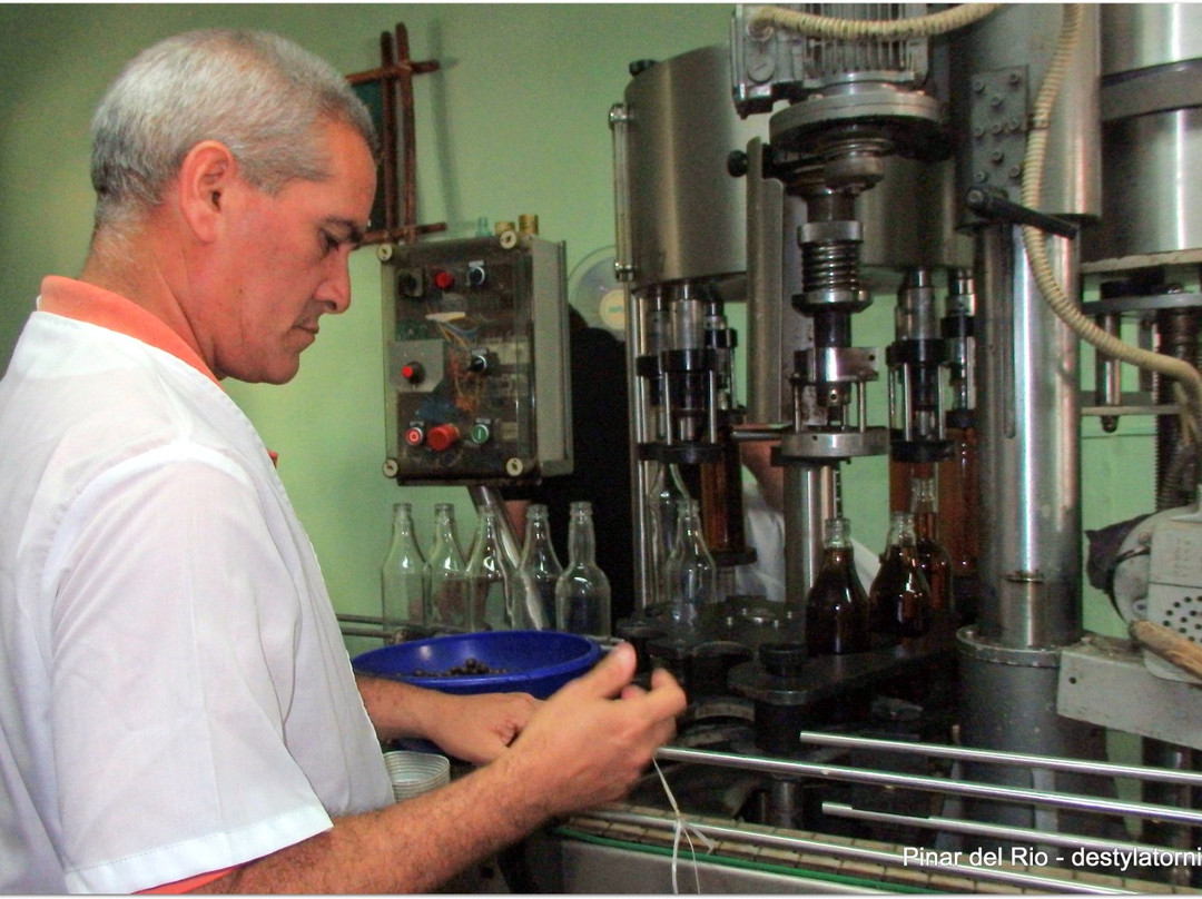 Guayabita del Pinar Liqueur Factory景点图片