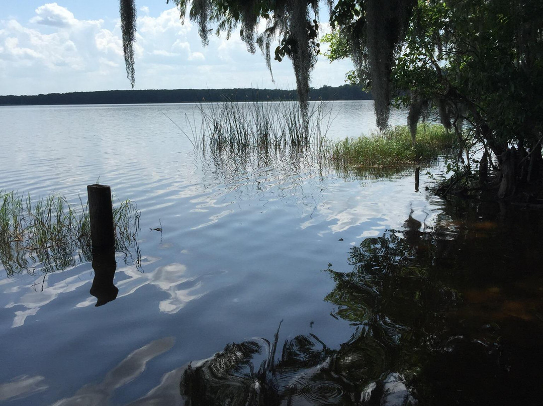 Palm Point Nature Park-盖恩斯维尔必去景点