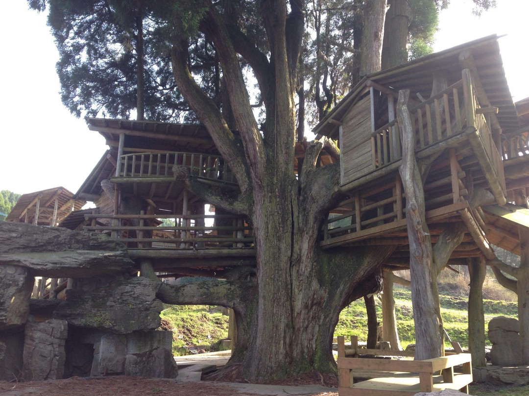 Takamori Tree House景点图片