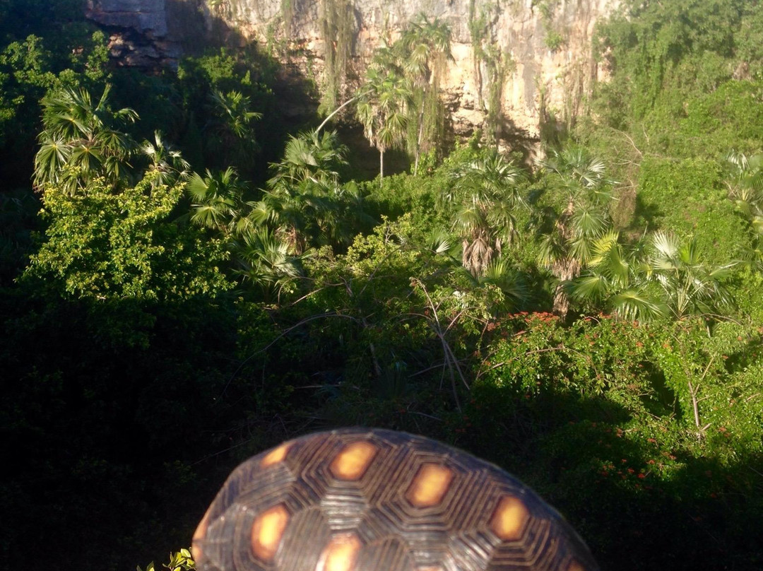 Darby's Cave-巴布达必去景点