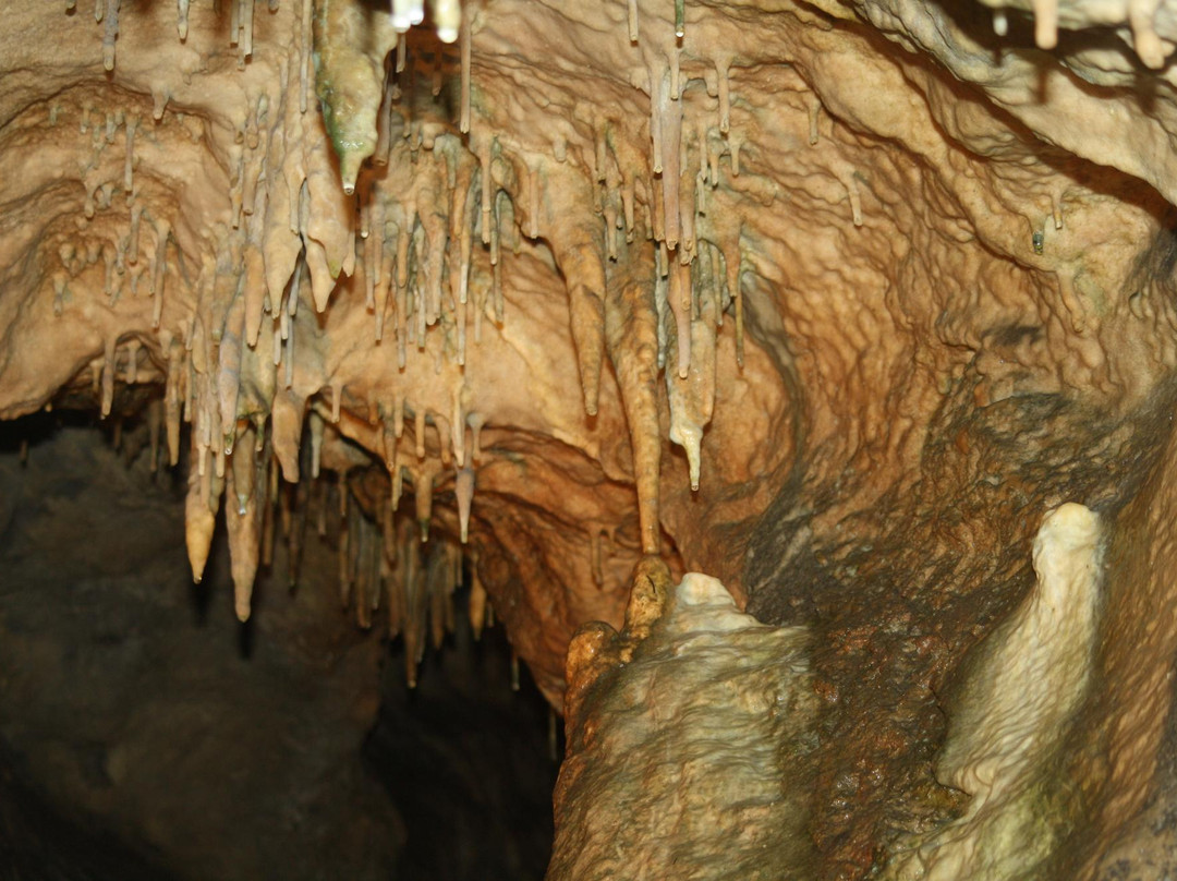 Grottes De Goyet景点图片