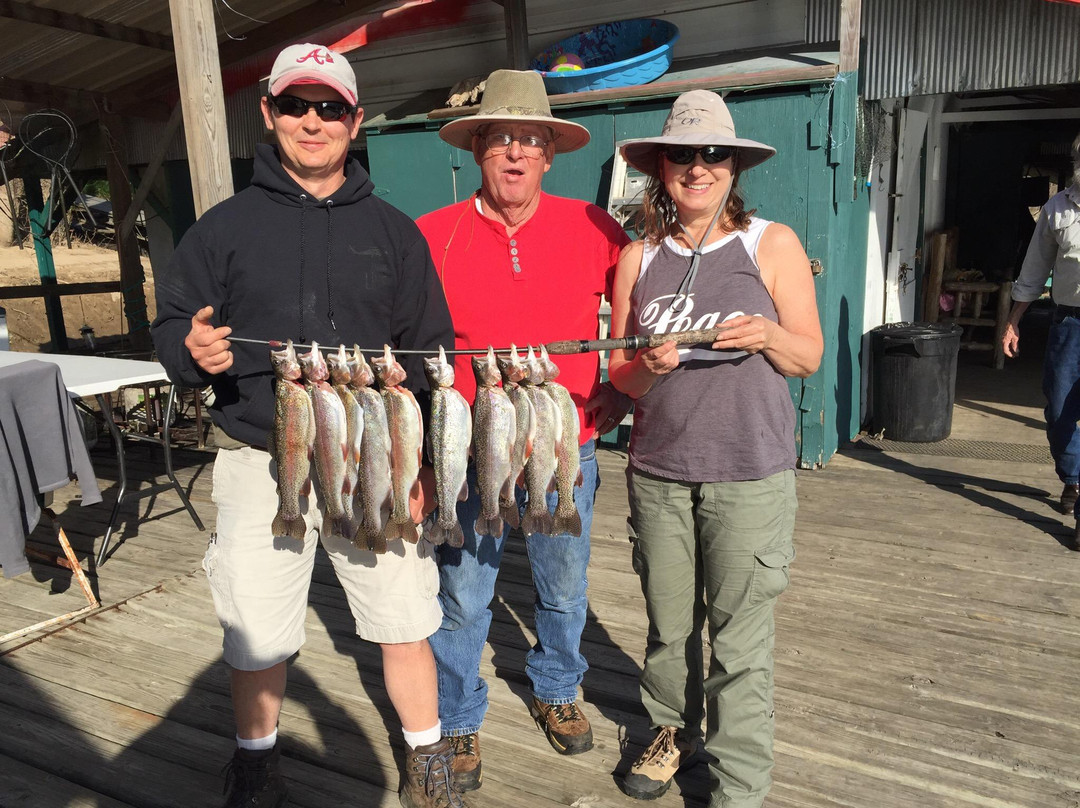Calico Rock Trout Dock景点图片