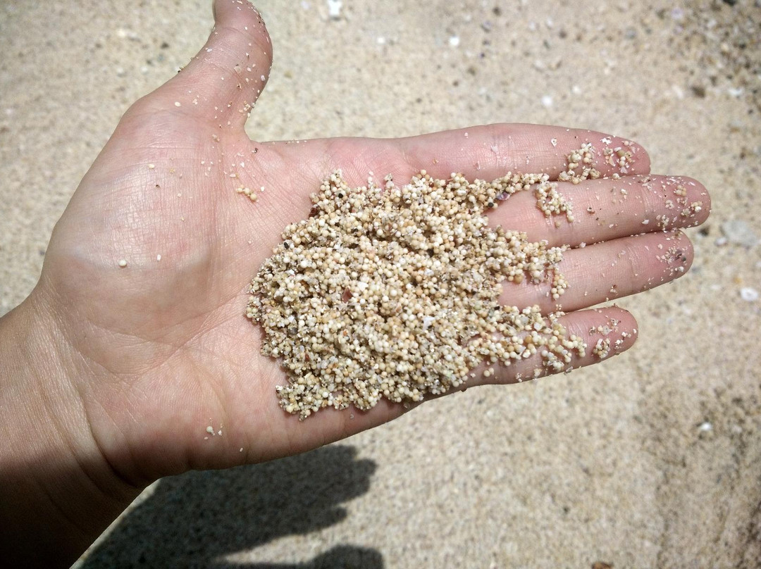 Pancur Beach-巴纽旺宣必去景点