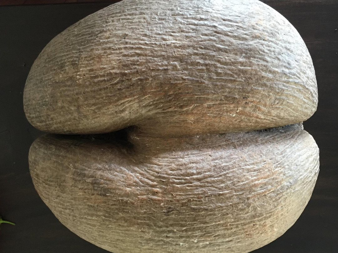 The Rock Spa景点图片