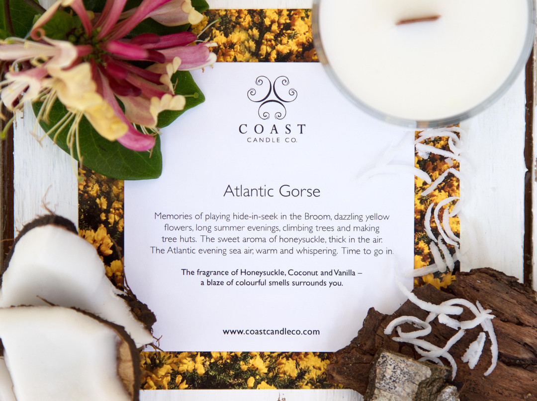 Coast Candle Co.-Dornoch必去景点