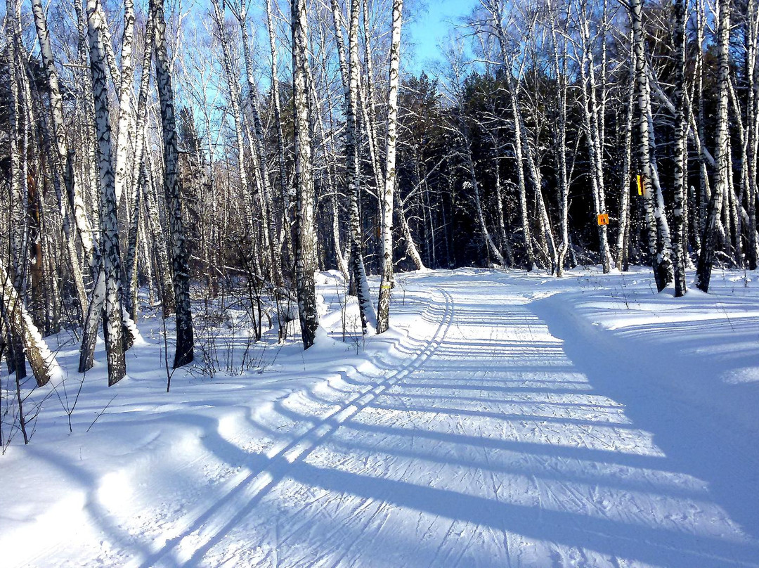 Politekhnik Ski Lodge景点图片