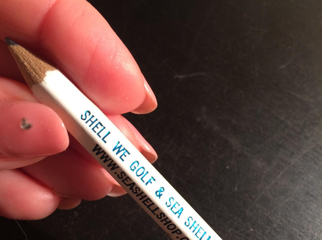 Sea Shell Shop-里霍博斯比奇必去景点