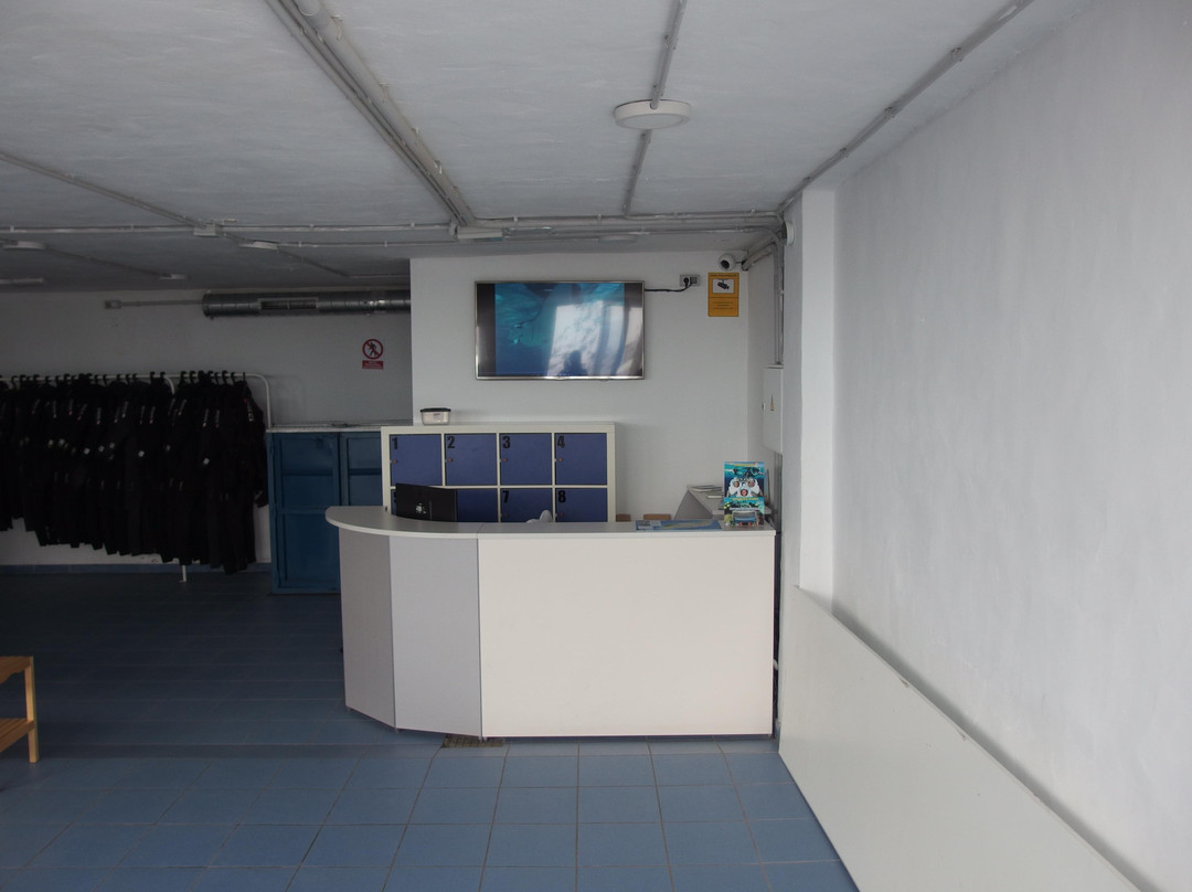 Native Diving Puerto del Carmen-卡门港必去景点