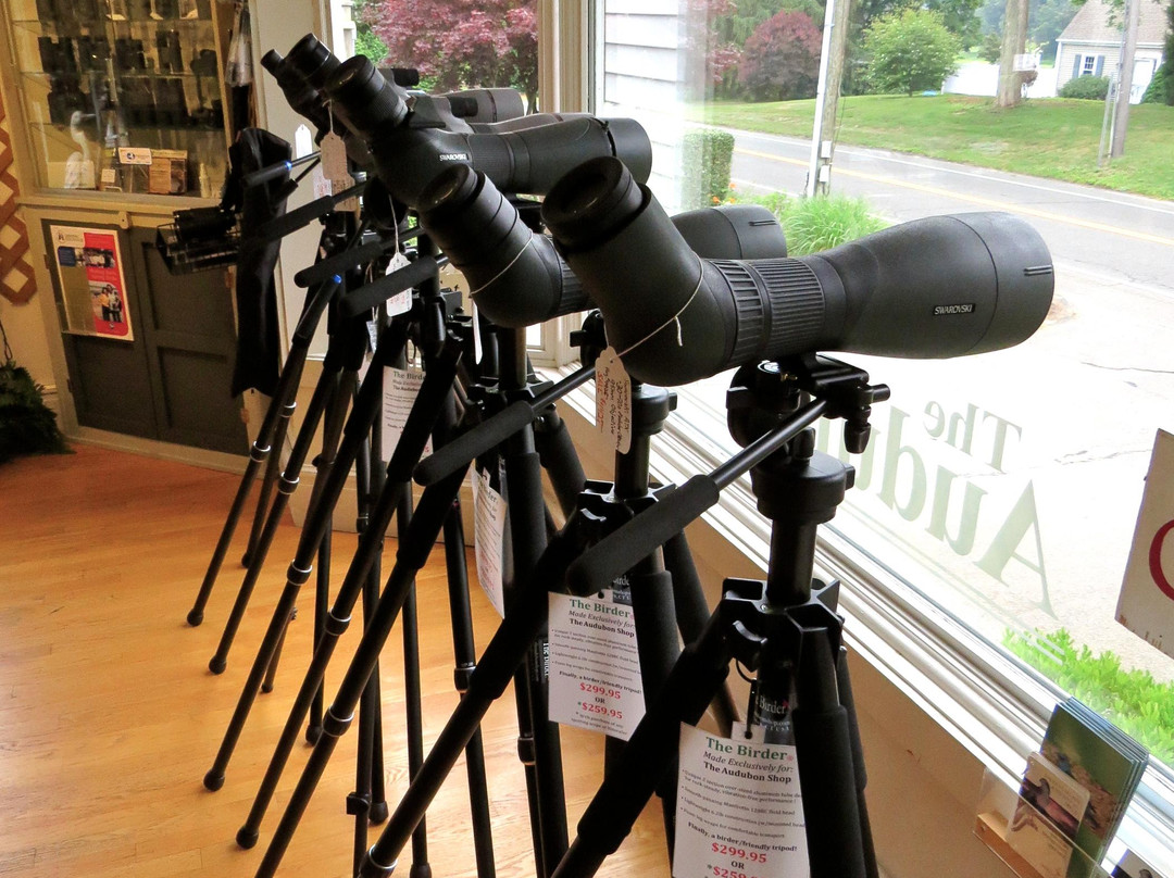 The Audubon Shop-麦迪逊必去景点