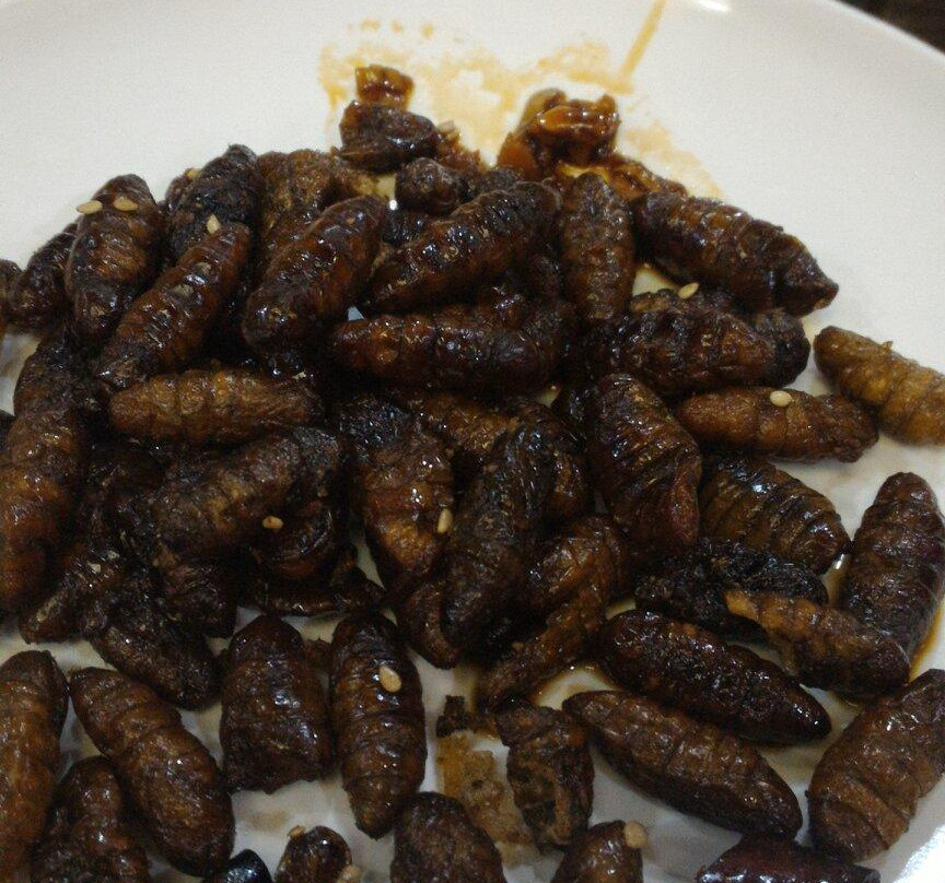 密山口岸-密山市必去景点