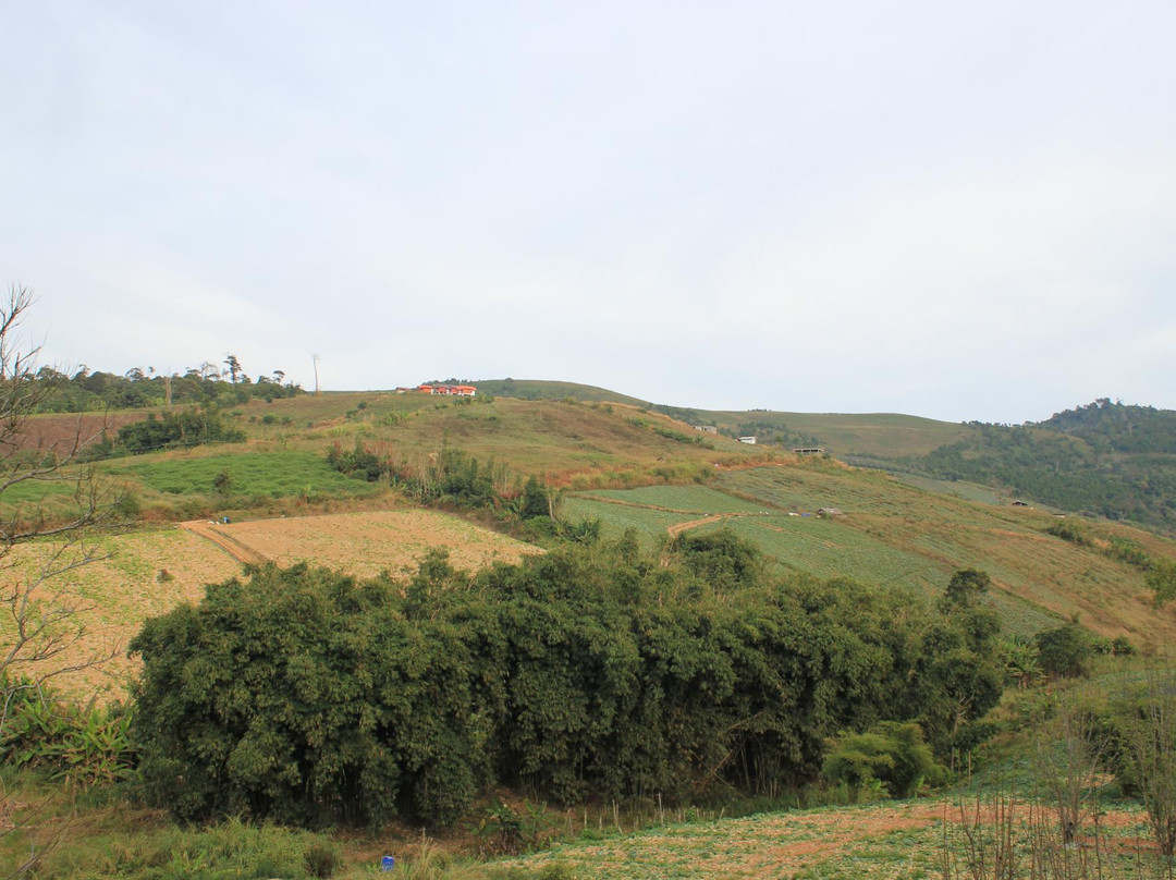 Rong Kla Village景点图片
