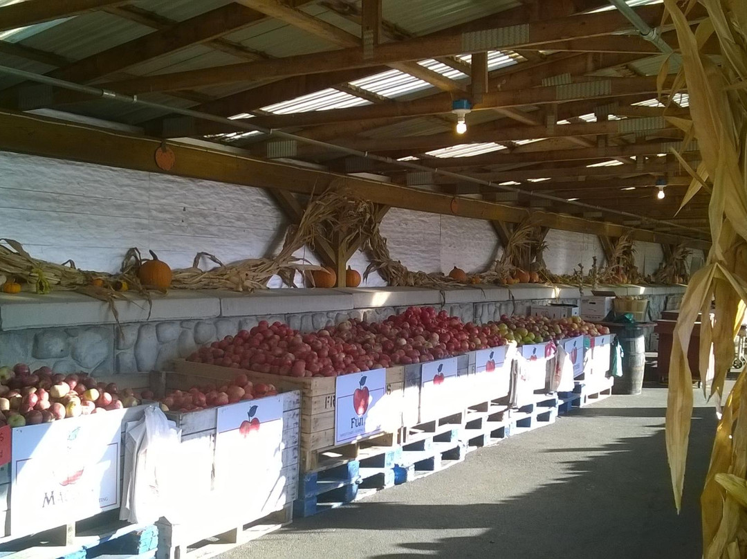 Cider Mill Playhouse-Endicott必去景点