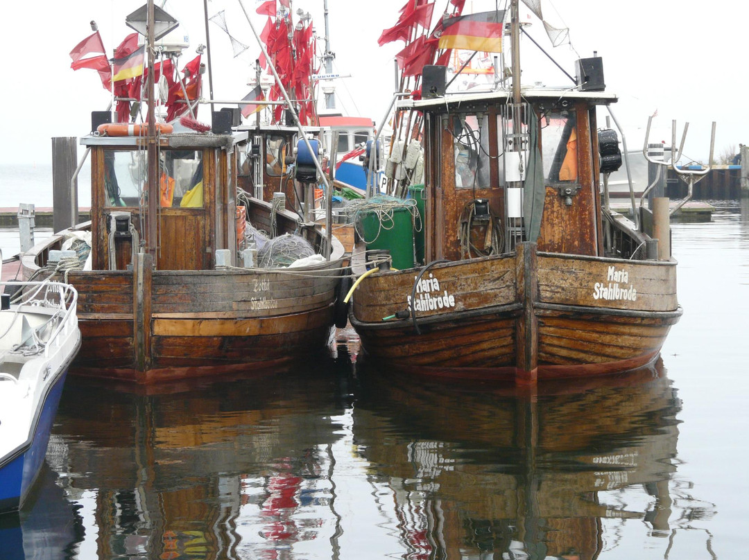 Pension Schwalbenhof主图