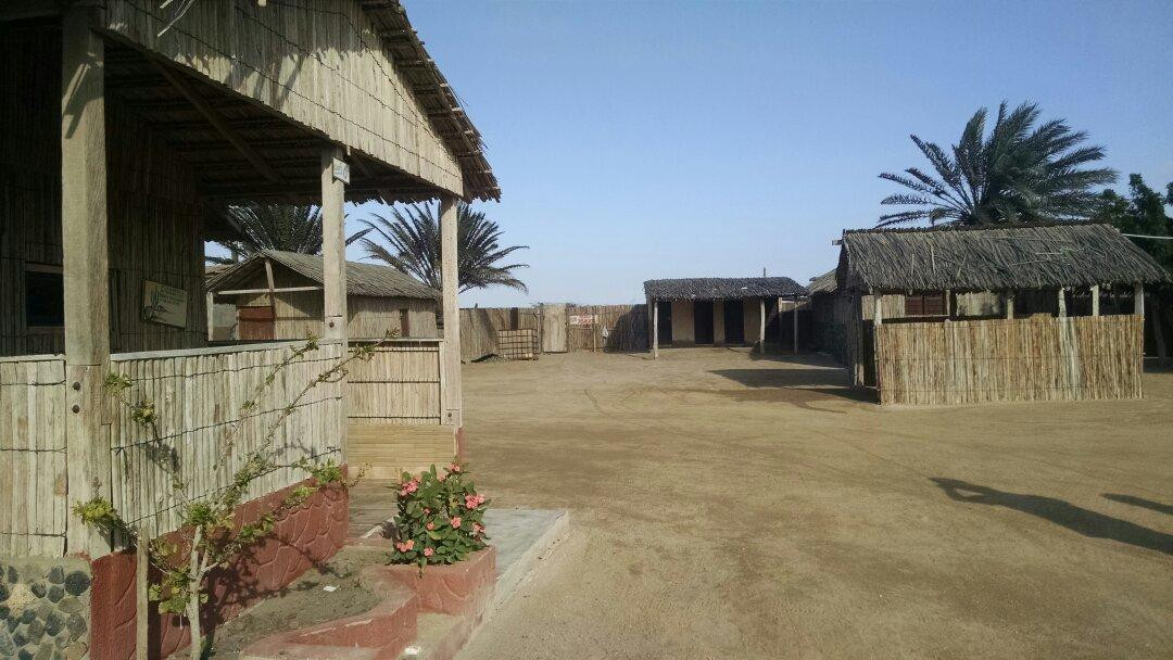 Hospedaje Jarrinapi主图