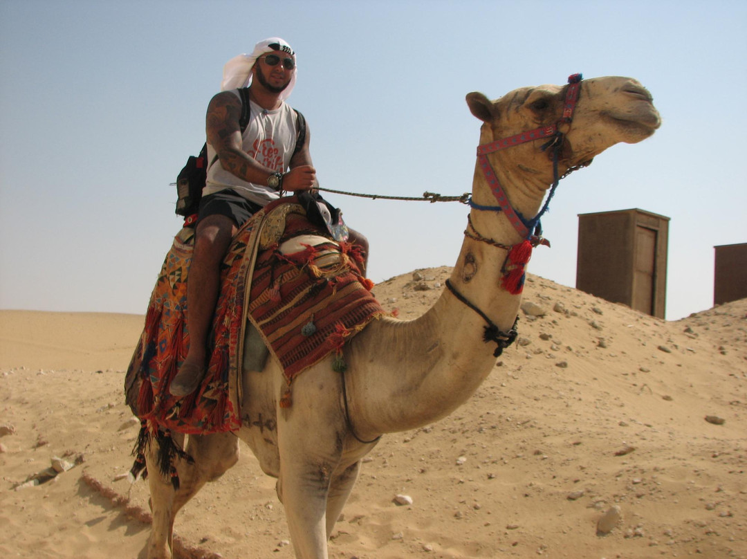 Nature Travel Egypt Tour - Day Tours-努威巴必去景点