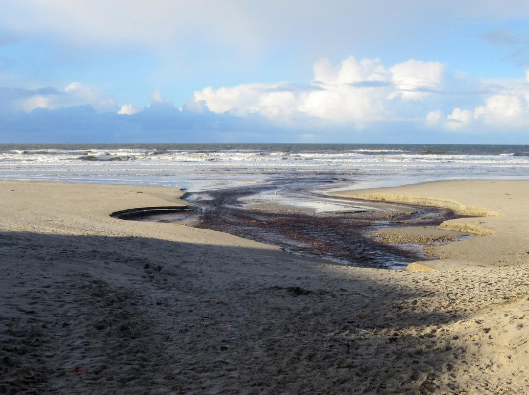 Vejers Strand旅游攻略图片