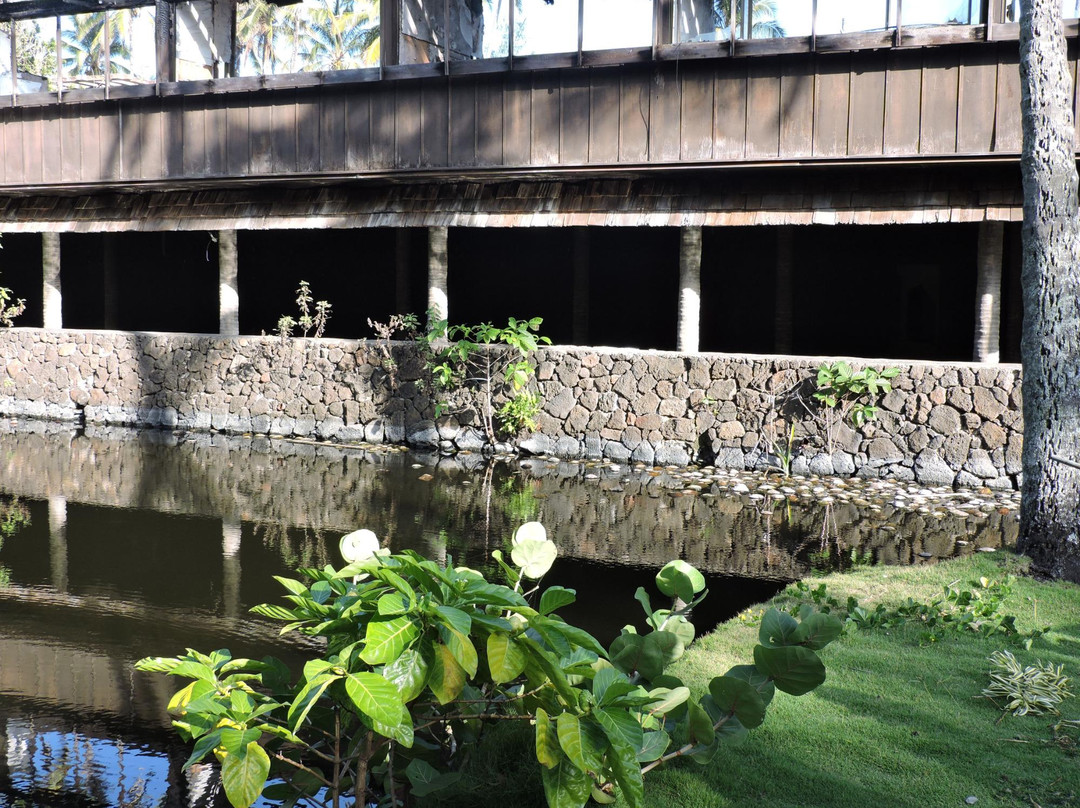 Coco Palms Tours-卡帕阿必去景点