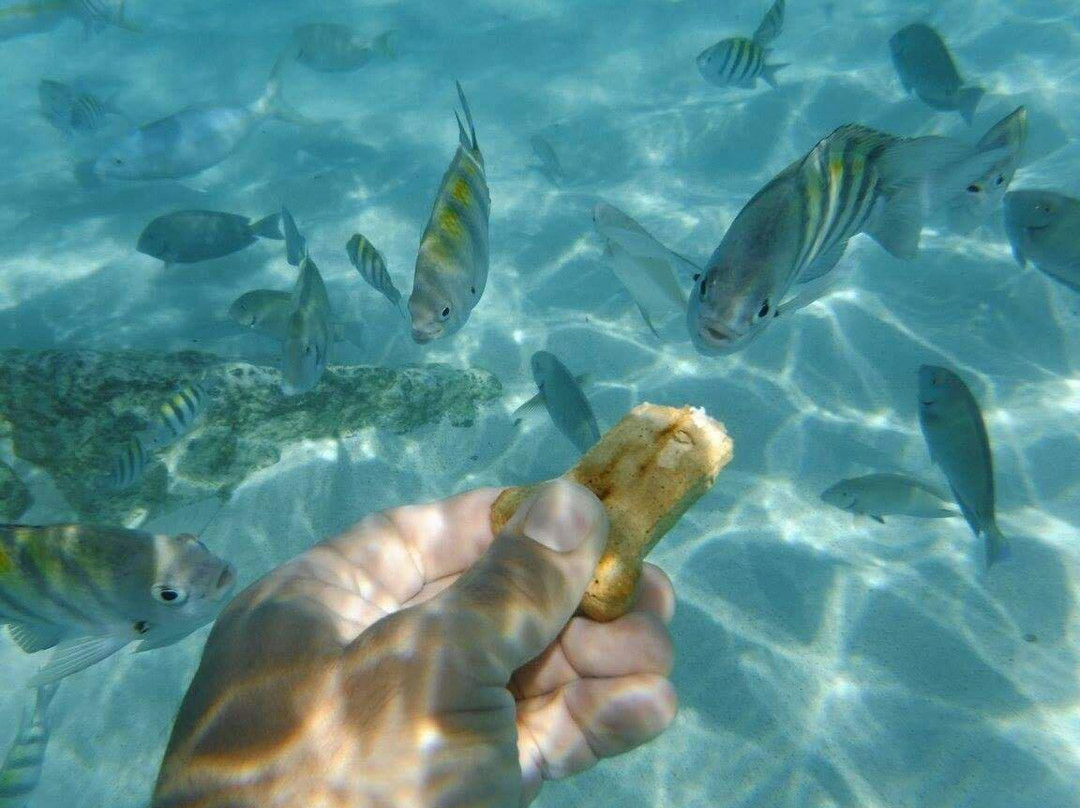 可奇海滩-Smith Bay必去景点