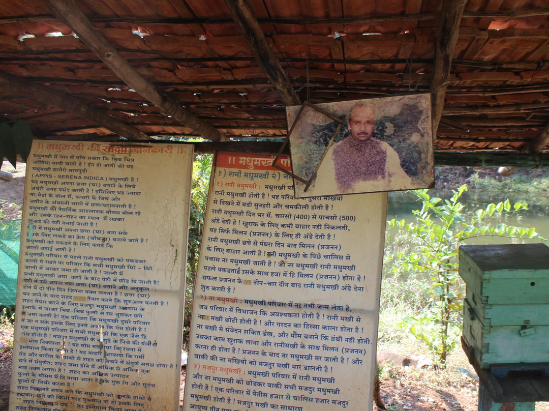 Honey Bees Centre-Saputara必去景点