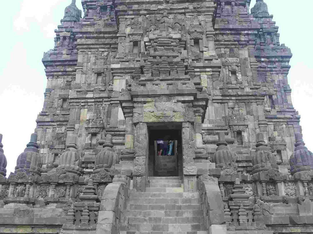 Bali Dolphin Watching Tour-登巴萨必去景点