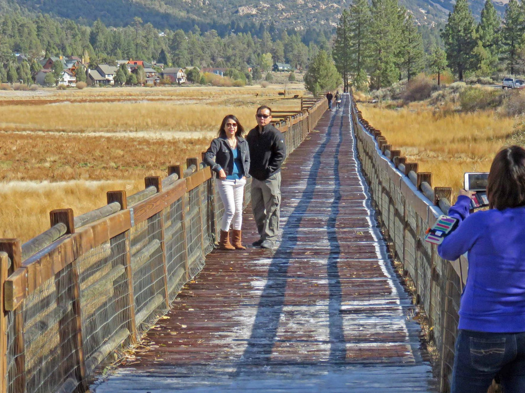 Stanfield Marsh Wildlife and Waterfowl Preserve-大熊湖必去景点