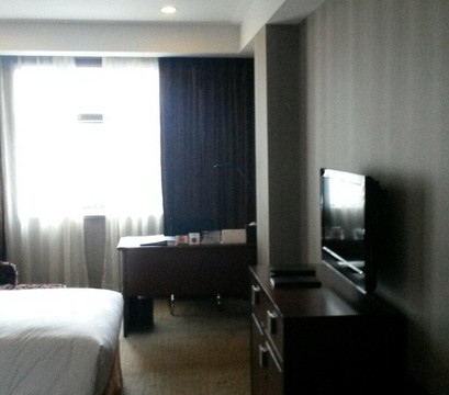 上海维也纳酒店世博园店主图