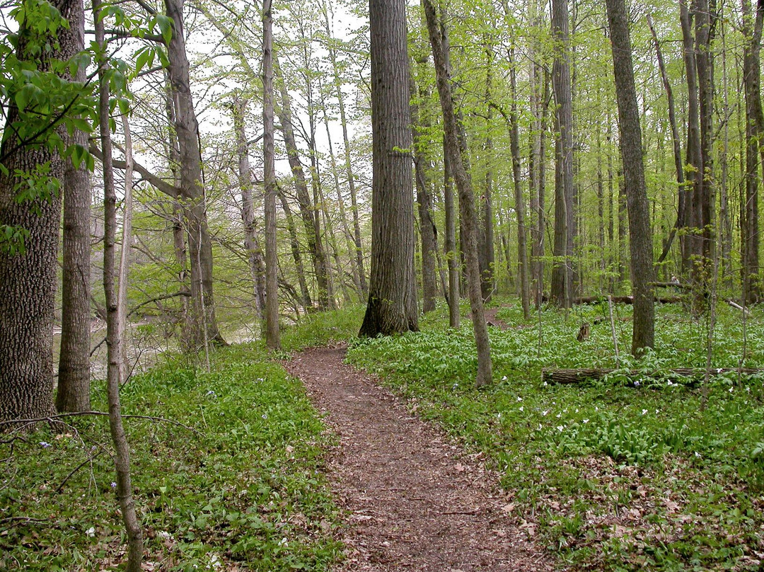 Collier (Howard) State Nature Preserve景点图片