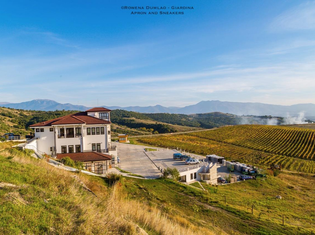 Villa Melnik Winery景点图片