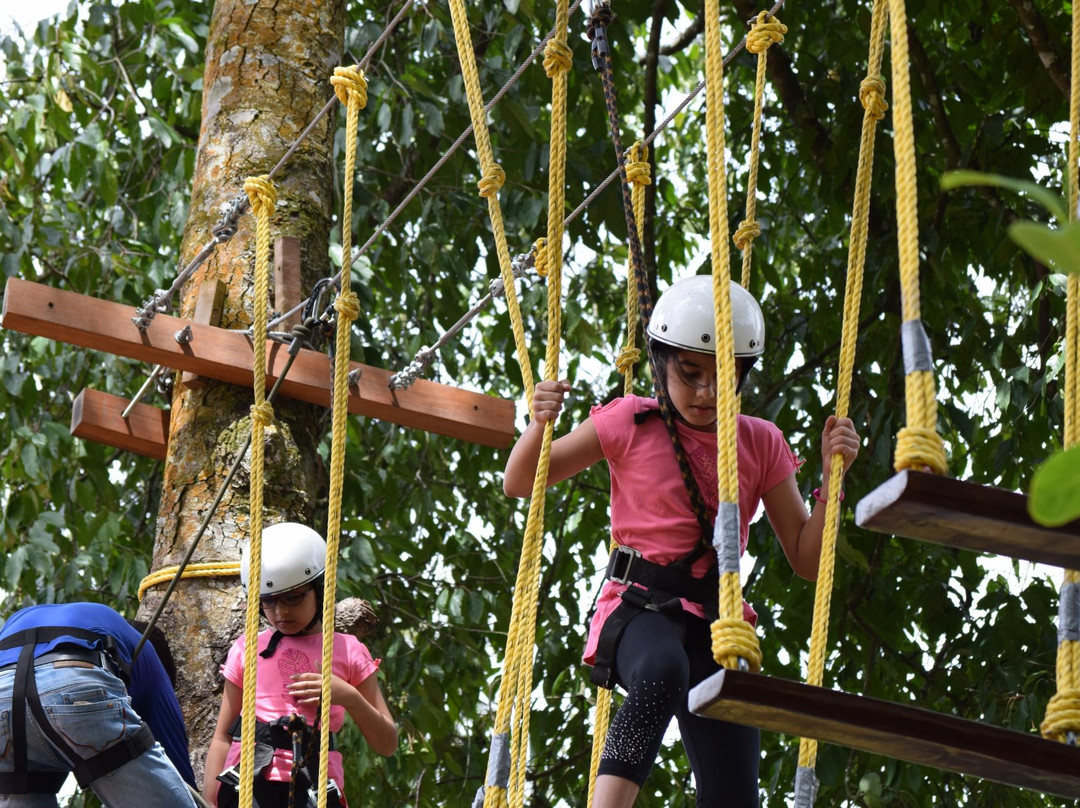TreeTop Adventure Park景点图片