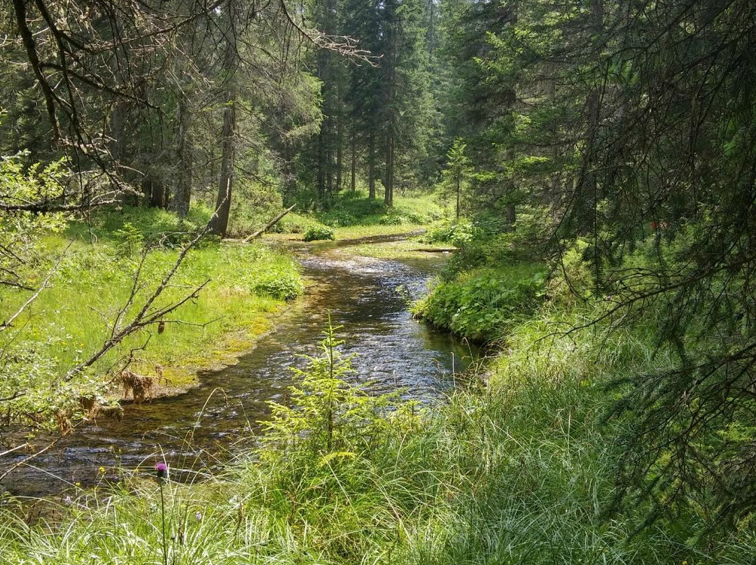 Percorso Didattico Biotopo-Braies必去景点