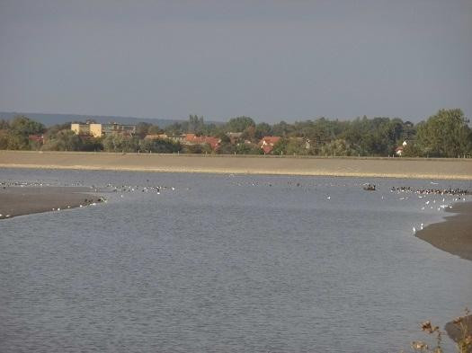 Hochwasserruckhaltebecken Straußfurt景点图片