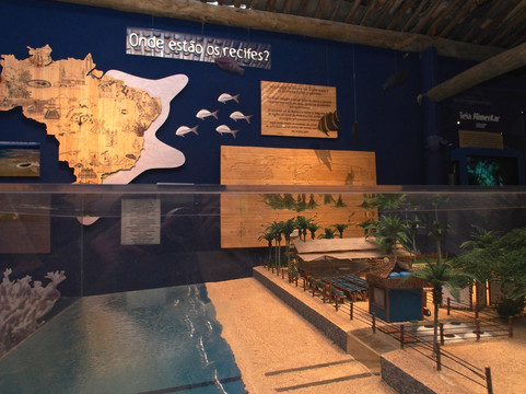 Projeto Coral Vivo-Arraial d'Ajuda必去景点