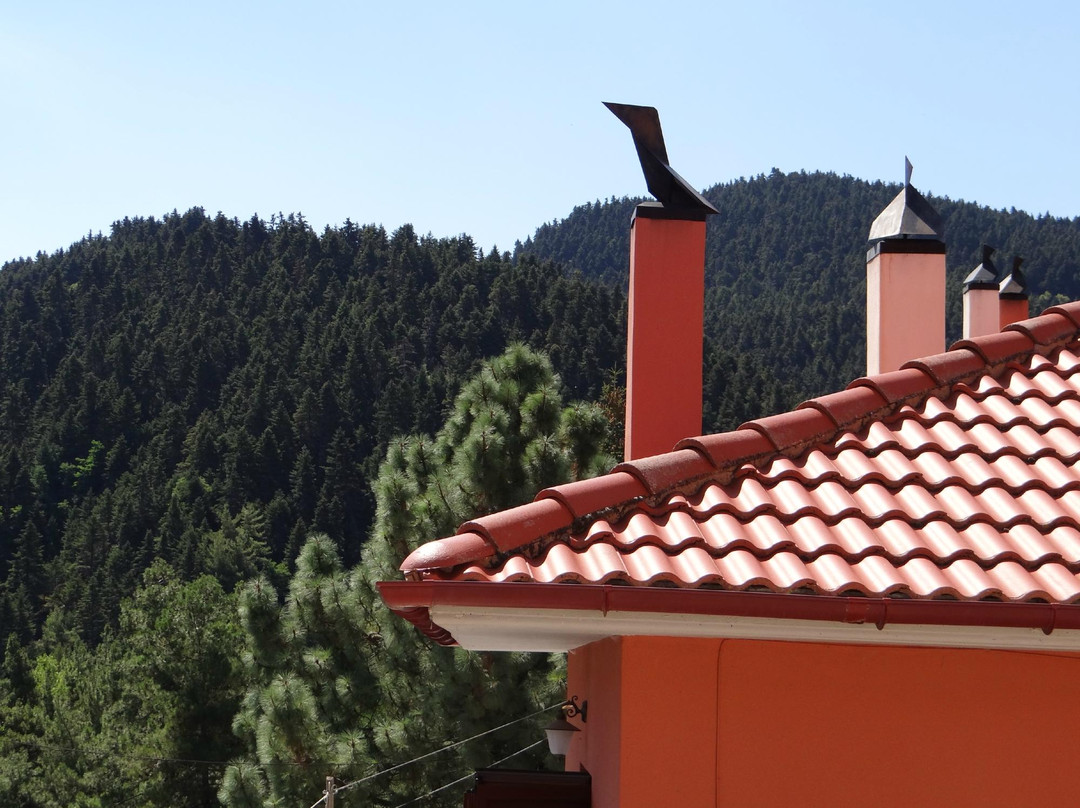 Langadhia酒店住宿-Valtessiniko Studios