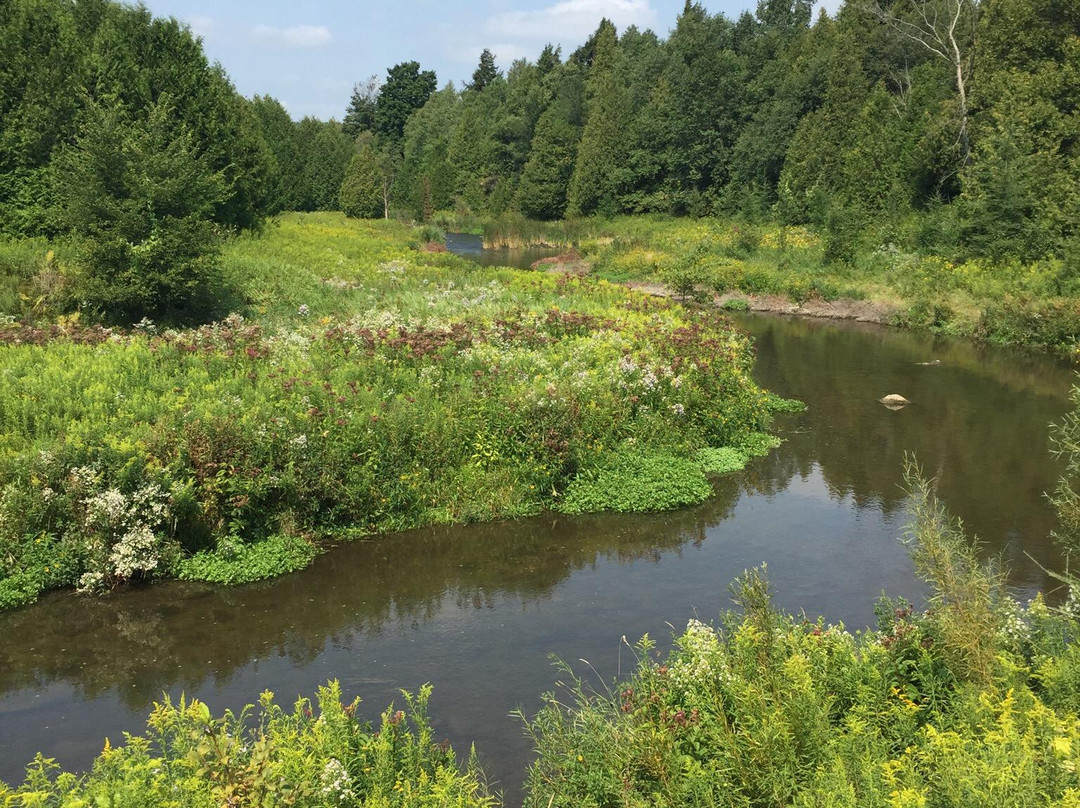 Upper Credit Conservation Area-Alton必去景点