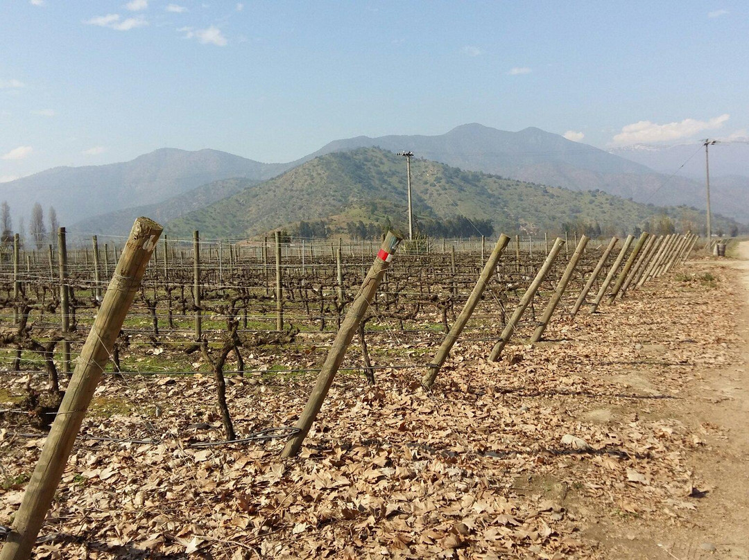 Viña Anakena-兰卡瓜必去景点