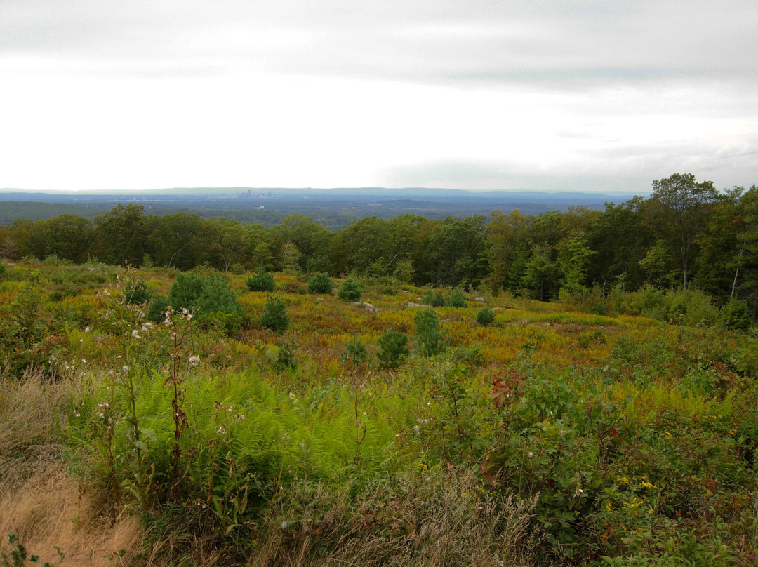 Case Mountain-曼彻斯特必去景点