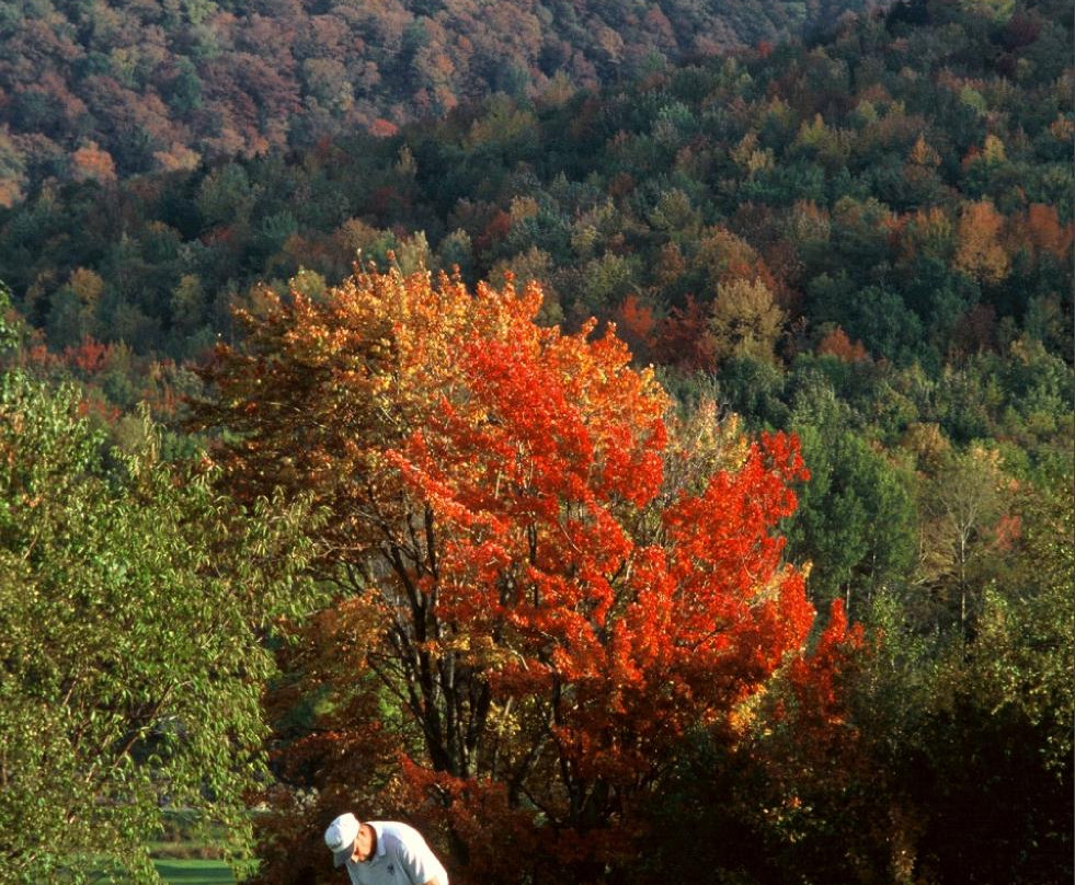 West Bolton Golf Club-Jericho必去景点