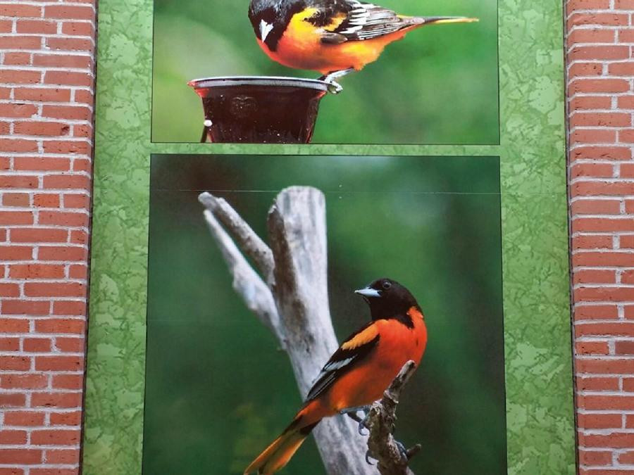 Sally's Alley-Jefferson必去景点