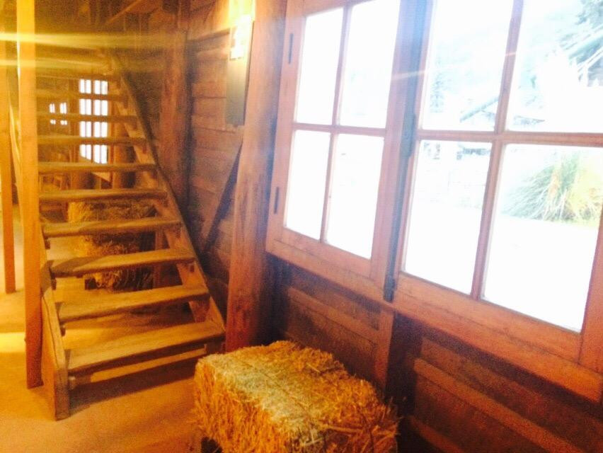 La Pastera Museo del Che-圣马丁德洛斯安第斯必去景点